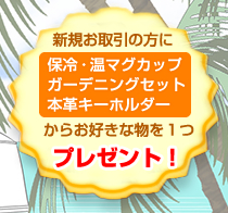サパスプロジェクト